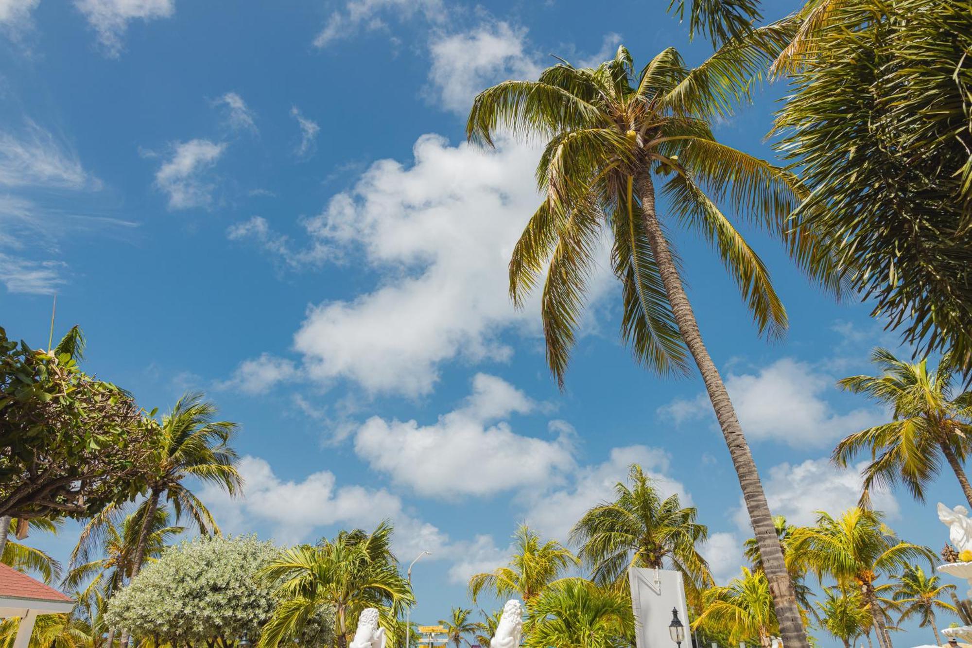Amsterdam Manor Beach Resort Palm Beach Luaran gambar