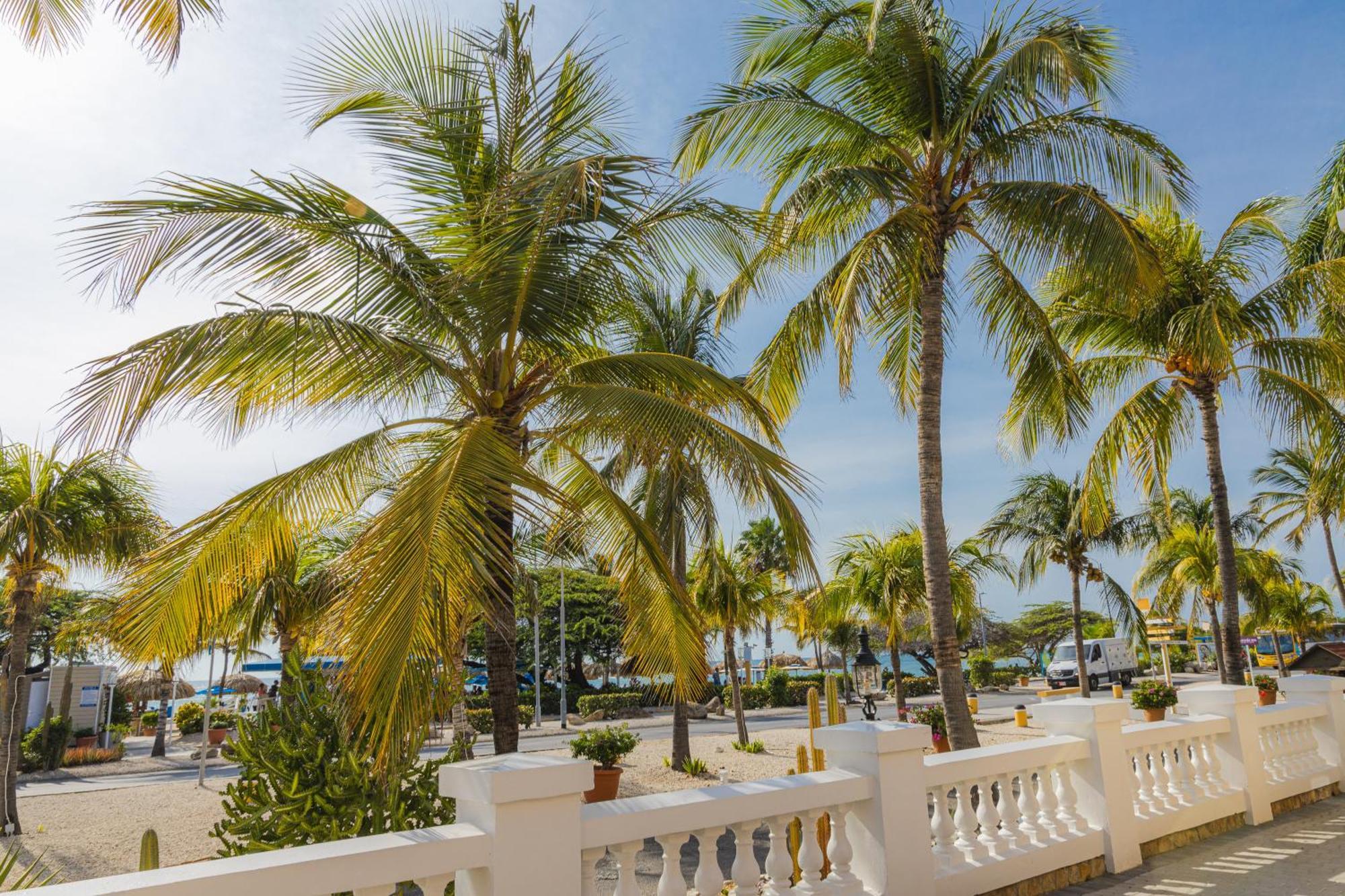 Amsterdam Manor Beach Resort Palm Beach Luaran gambar